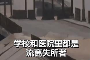 开云官方入口下载截图1